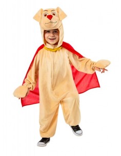 DISFRAZ KRYPTO DCP...