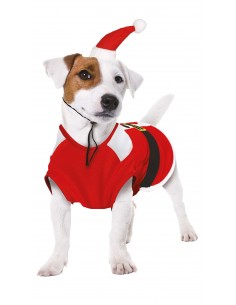 DISFRAZ DE NOEL PARA MASCOTA GUIRCA 2
