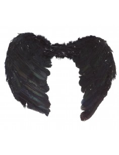 ALAS PLUMAS NEGRAS   50 CMS. 2
