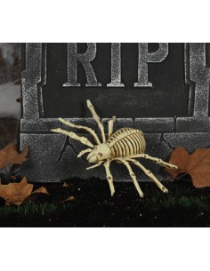 Esqueleto araña 24 cms 2
