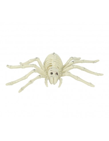 Esqueleto araña 24 cms