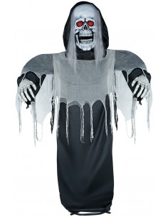 Esqueleto fantasma, luz,...
