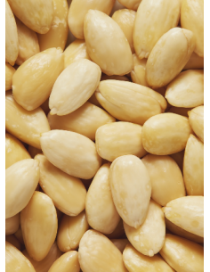 -ALMENDRA CRUDA MARCONA 1KG 2