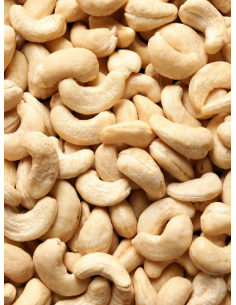 -ANACARDOS TOSTADOS SIN SAL... 2