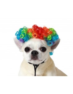 PELUCA MASCOTAS MULTICOLOR