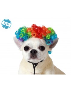 PELUCA MASCOTAS MULTICOLOR 2