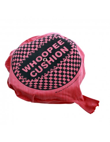 COJIN PEDORRETA 16 CM.